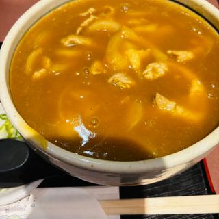 チカラカレー南蛮そば