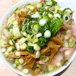 塩チャーシューワンタン麺 メンマ ネギ小