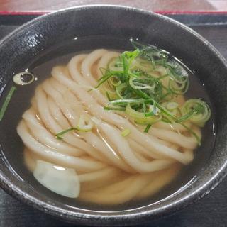 かけ(セルフうどんかめや)