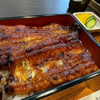 うな重 竹(浜名湖うなぎ丸浜)