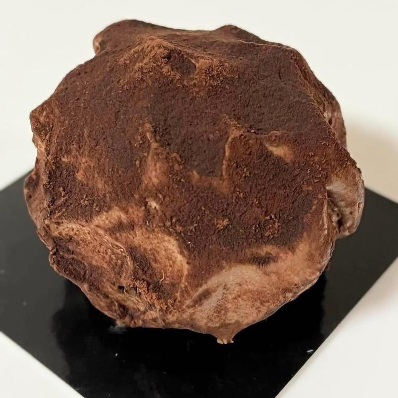 トリュフショコラ(Dining33 Patisserie a la Masion)