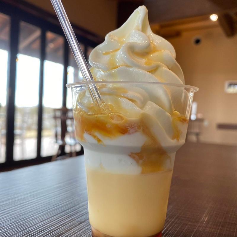 ガンジープリンソフト(加勢牧場 刈羽店)