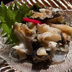 つぶ貝造り(活魚居酒屋 マルフク)