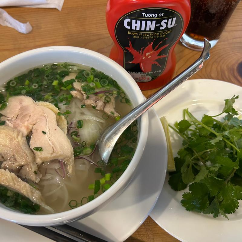 蒸し鶏フォーセット＋パクチー(ベトナムダイニングジャディンGIA ĐÌNH 二号店)