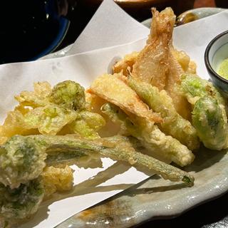 春野菜の天ぷら(活魚居酒屋 マルフク)