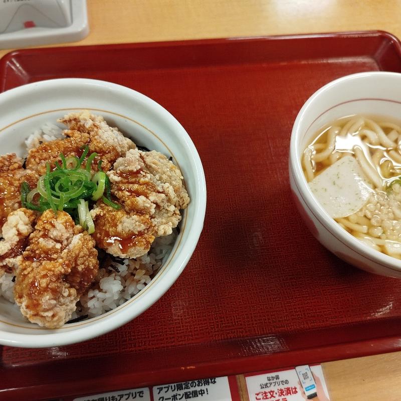 唐揚げ丼　＋　小はいから(なか卯・銀座七丁目店)