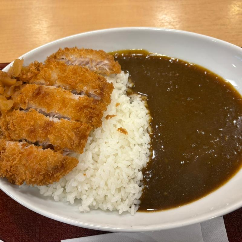 和風カツカレー(なか卯　赤坂7丁目店)