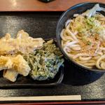 ぶっかけうどん2杯天ぷら食べ放題12個
