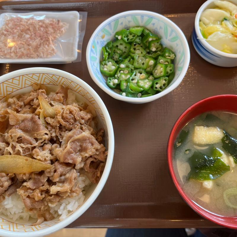 かつぶしオクラ牛丼おしんこランチセット(すき家 3号山鹿店 )