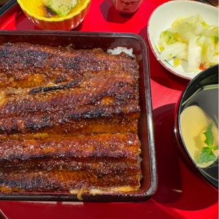 (鰻う おか富士)