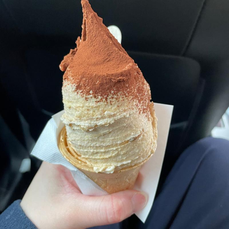 ティラミス(松ぼっくり )