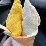 ジェラートW(松ぼっくり )