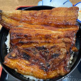 特上(うなぎ うな富)