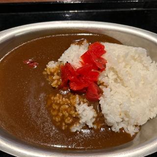 カレーライス(炭火居酒屋 炎 すすきの アーバンビル店)