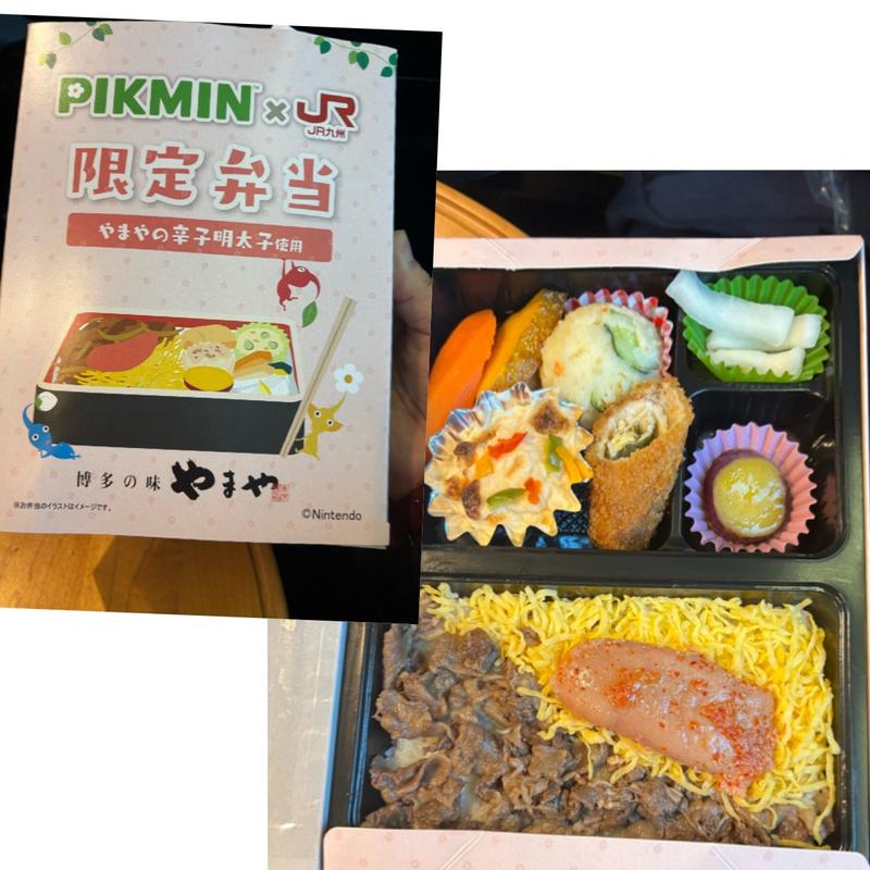 PIKUMIN×JR九州限定弁当(駅弁当 博多口店)