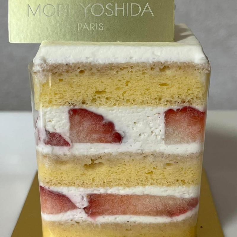 フレジエジャポネ(モリヨシダ)