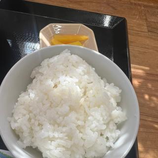ご飯 中