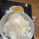 ご飯 中