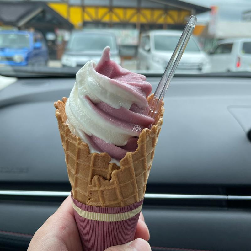 山ぶどうミックス(道の駅  にしね)