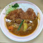 リッチなカツカレー(リッチなカレーの店 アサノ)