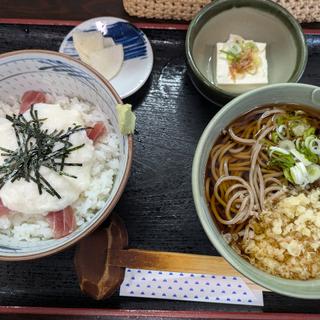 鮪山かけ丼セット