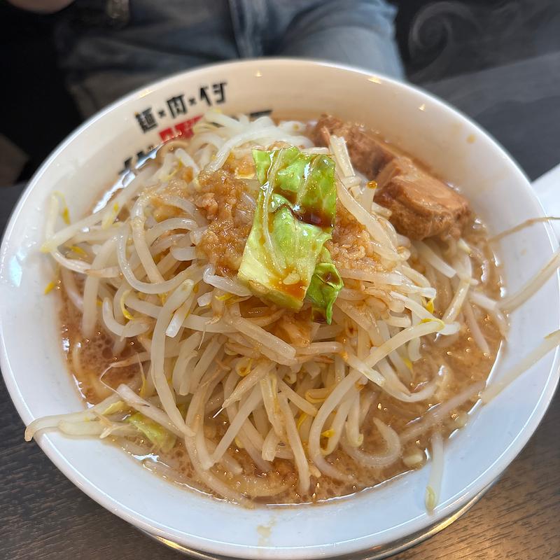 ラーメン麺普通　野菜普通　油普通(麺×肉×ベジ メガ豚パンチ)