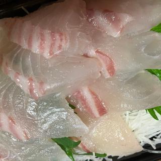 鯛(おとと)