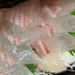 鯛