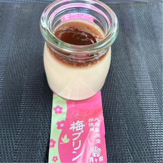 梅プリン