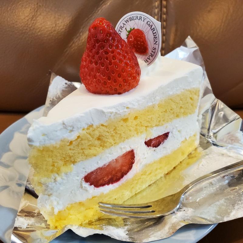 ストロベリーショート(ストロベリーガーデン 原本店)