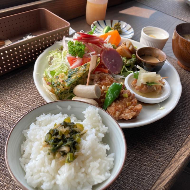 本日のプレートランチ(古民家カフェならのき)