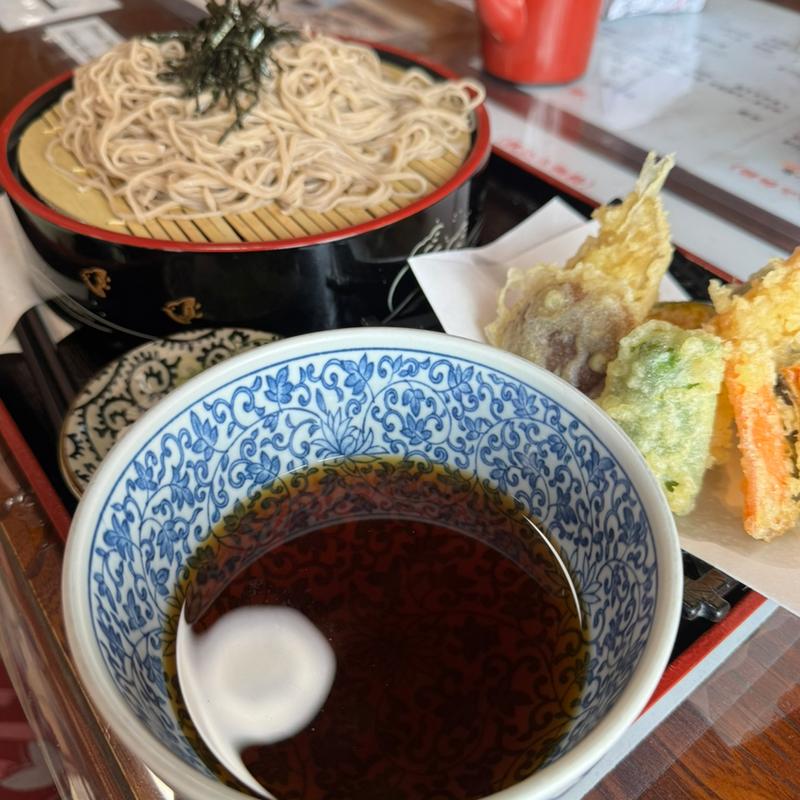 天ざるそば(麺処びわ )