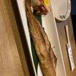 とろほっけ