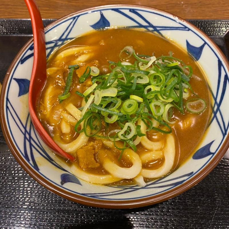 カレーうどん(丸亀製麺堺美原)