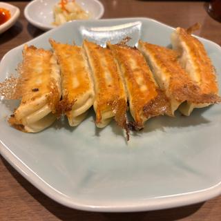焼き餃子(宇都宮みんみん 駅東口店 )