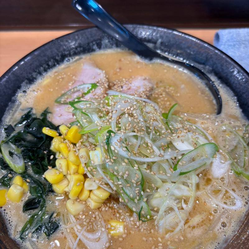 ネギみそラーメン(ラーメンだるまや  )