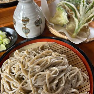 旬菜天もり