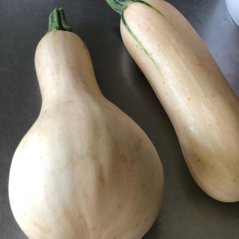 バターピーナッツカボチャ(泉州やさいのビュッフェ&カフェ（JAいずみの 愛彩ランド内）)