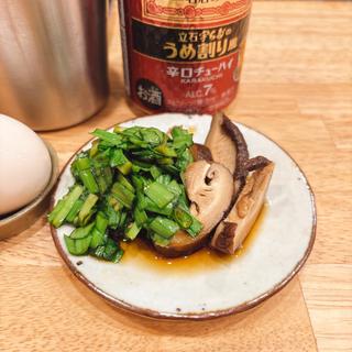 宇ち多゛のうめ割(だしと麺 遊泳)