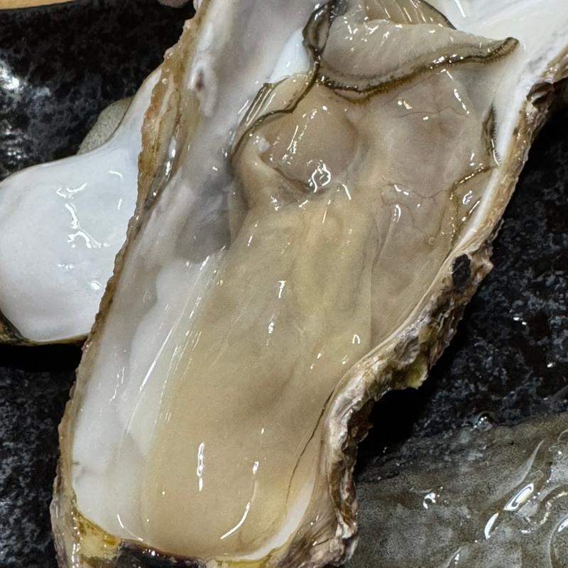 殼牡蠣M(魚処壱や 盛岡駅前店)