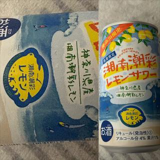 神酒連・湘南潮彩・レモンサワー(相鉄ローゼン 南まきが原店)