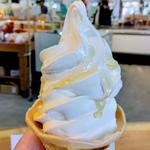 はちみつソフトクリーム(道の駅 下賀茂温泉 湯の花)