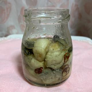 牡蠣オリーブ