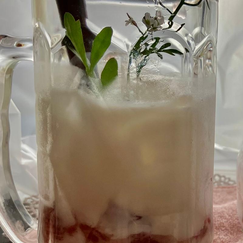 カクテル(サンゴバル)