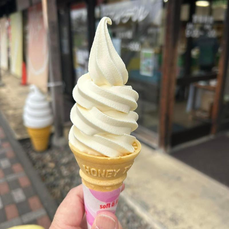 ソフトクリーム(道の駅 庄内みかわ )