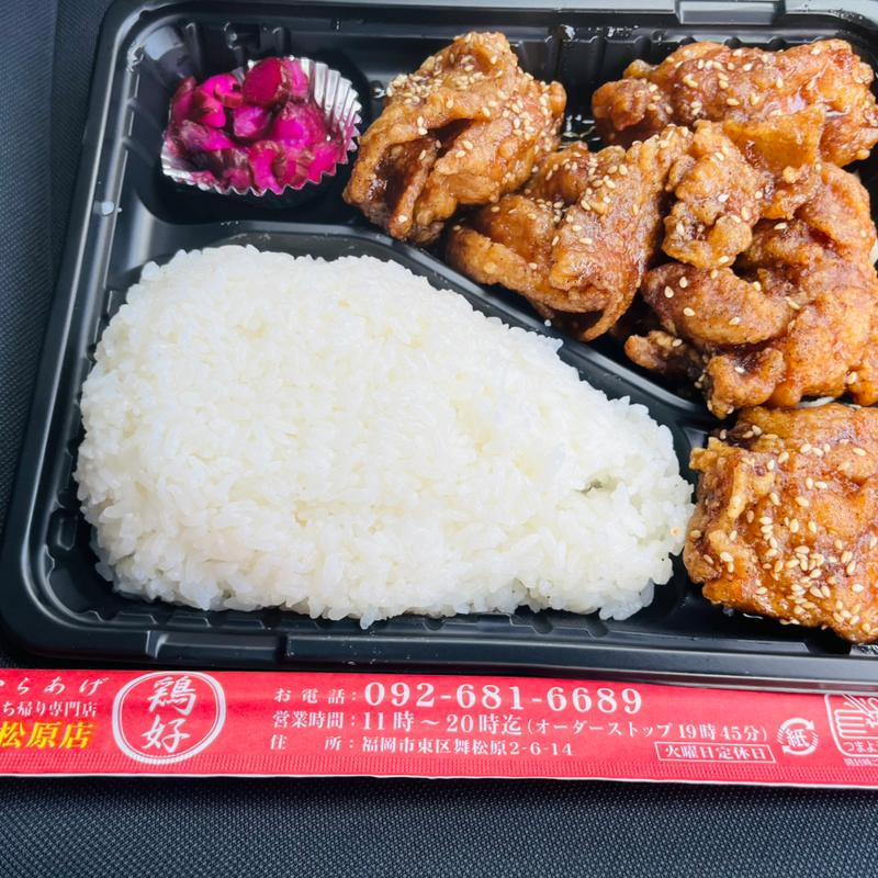 昼弁当大盛り(からあげ鶏好 舞松原店)