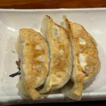 餃子3個入り(北海道ラーメン奥原流追風丸 北谷店 )