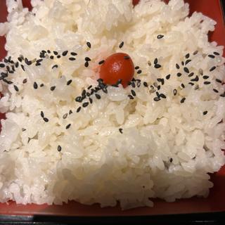 ライス(炭火居酒屋 炎 札幌駅北口店)