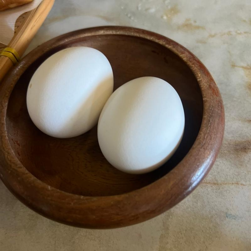 ゆで卵(ティファニー )