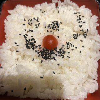 ライス(炭火居酒屋 炎 札幌駅北口店)